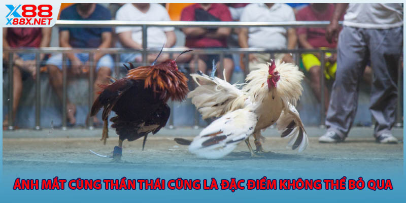 Ánh mắt cùng thần thái cũng là đặc điểm không thể bỏ qua