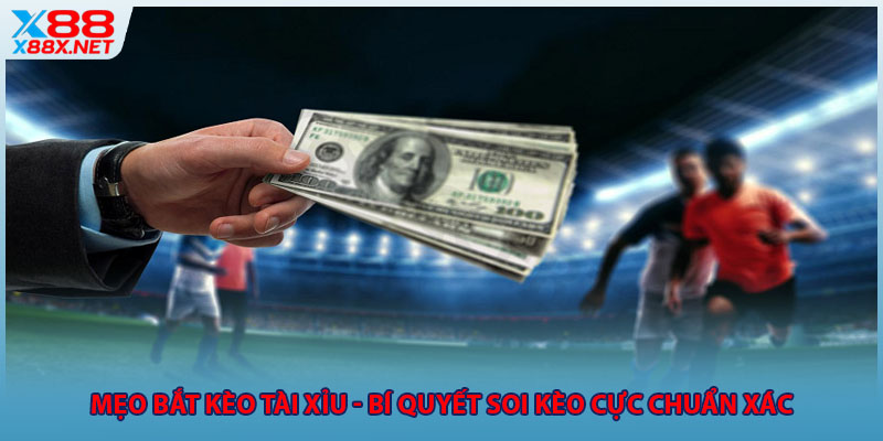 meo-bat-keo-tai-xiu-bi-quyet-soi-keo-cuc-chuan-xac