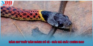 nam-mo-thay-ran-danh-so-gi-giai-ma-giac-chiem-bao