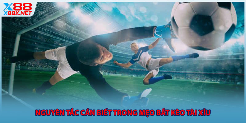 Nguyên tắc cần biết trong mẹo bắt kèo tài xỉu