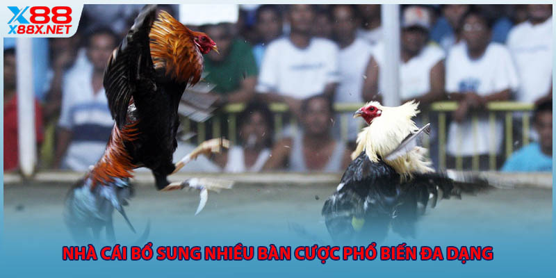 Nhà cái bổ sung nhiều bàn cược phổ biến đa dạng