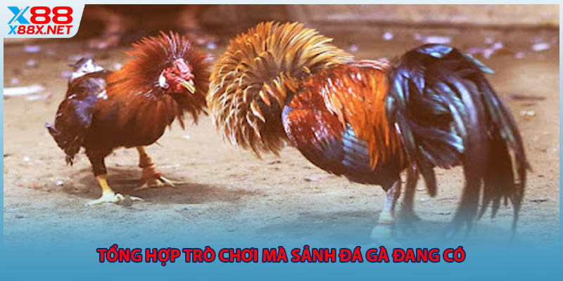 Tổng hợp trò chơi mà sảnh đá gà đang có 